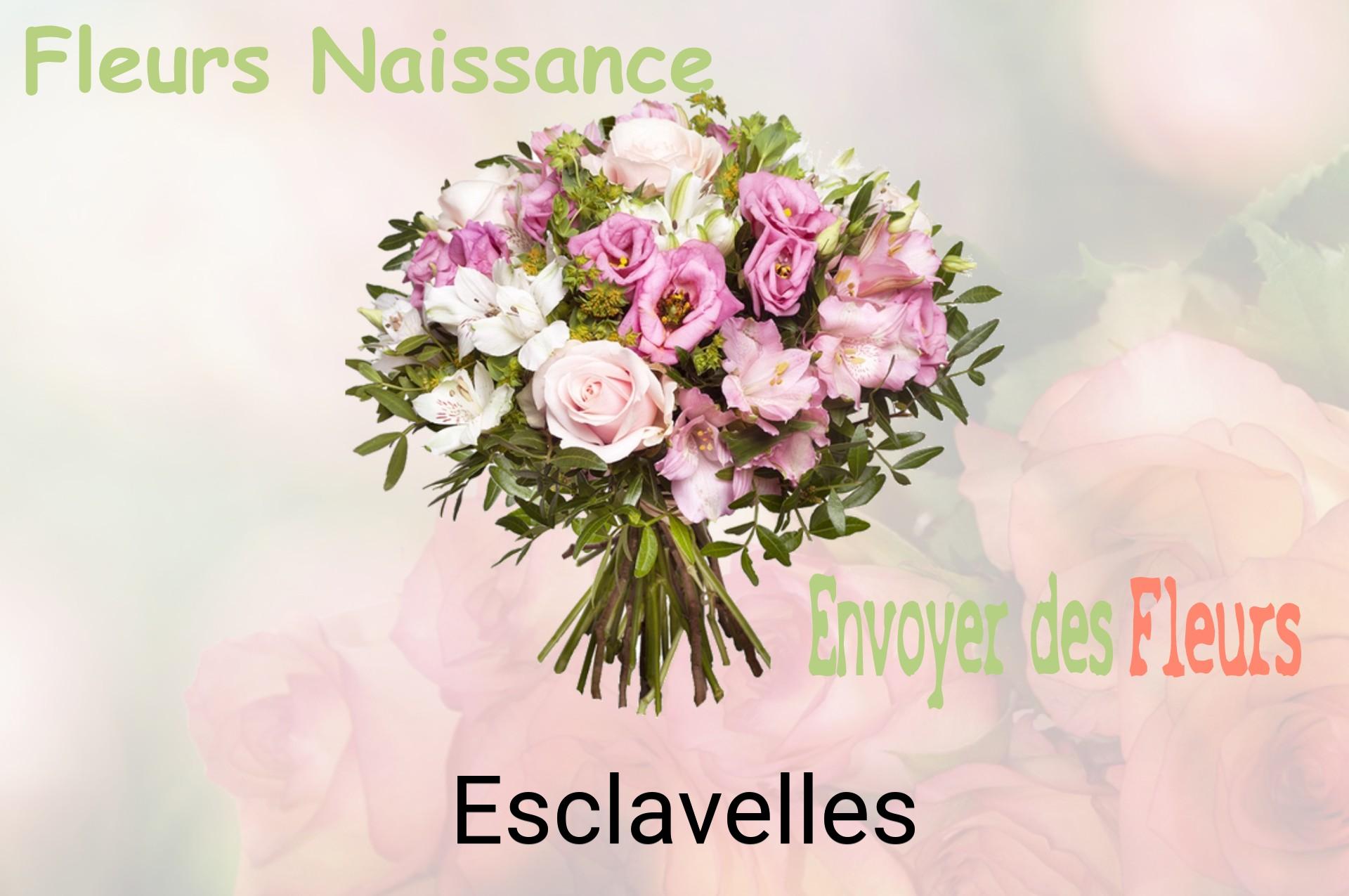 Bouquet de fleurs de naissance livré à Esclavelles